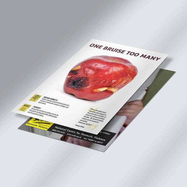 Various NCDV Posters (Maximum Quantity: 5) - Image 4